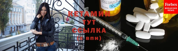 прущие грибы Бронницы