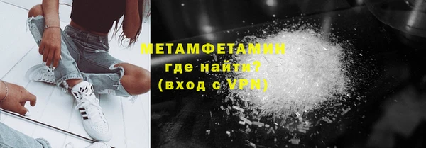 прущие грибы Бронницы