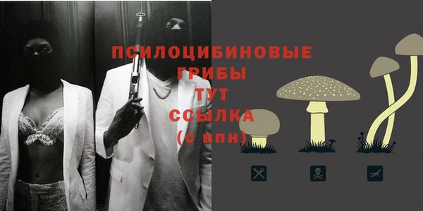 прущие грибы Бронницы