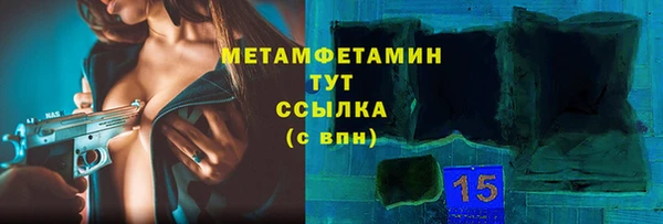 прущие грибы Бронницы