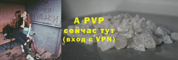 прущие грибы Бронницы