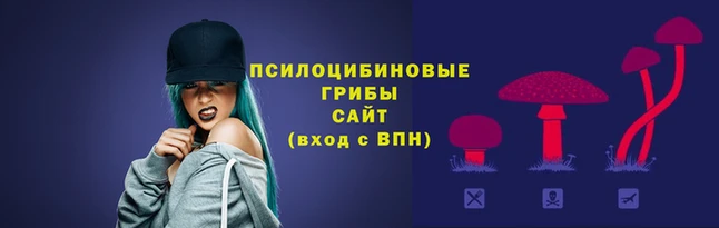 прущие грибы Бронницы
