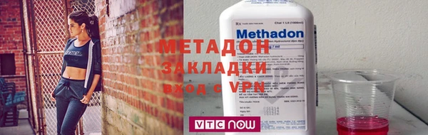прущие грибы Бронницы
