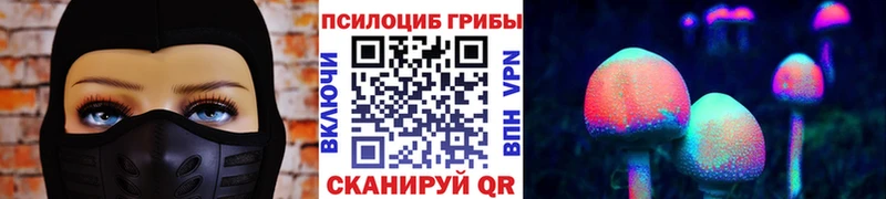 наркошоп  Альметьевск  Псилоцибиновые грибы мухоморы 